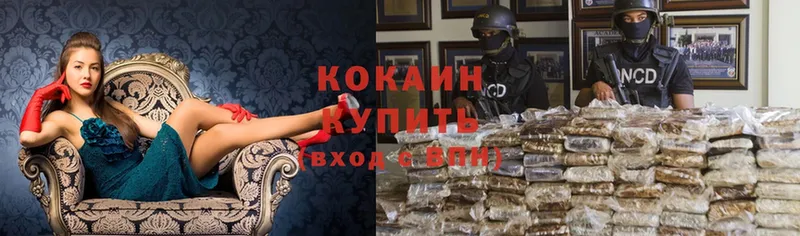 Cocaine Эквадор  купить закладку  Егорьевск 